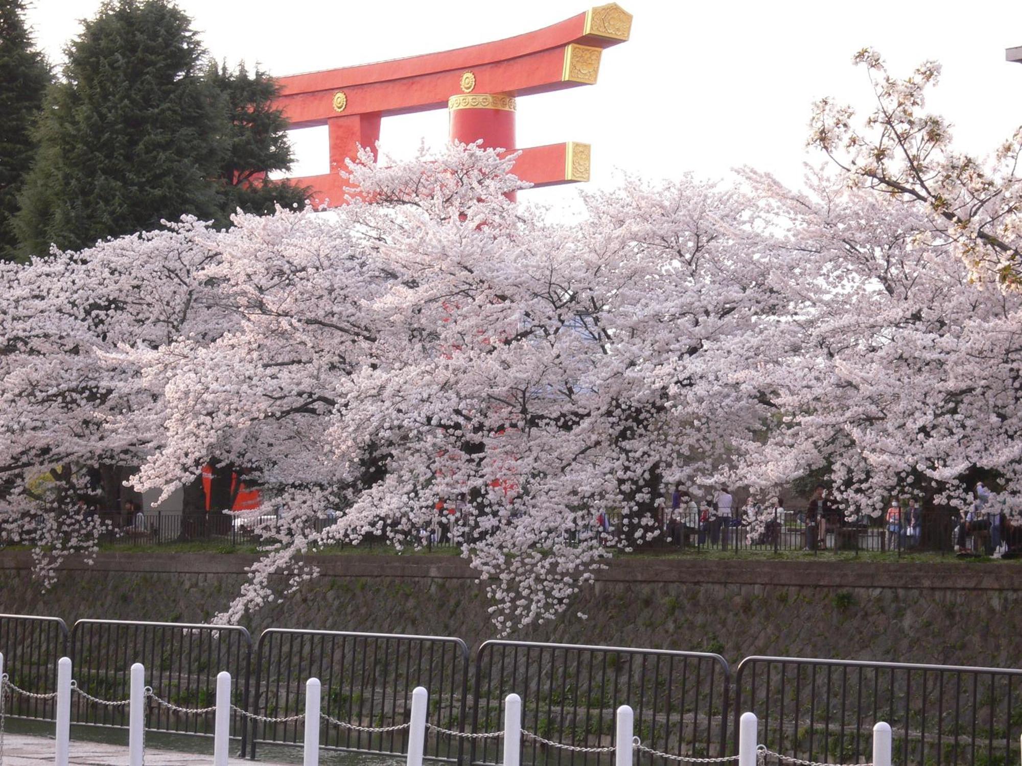 Kyoto Travellers Inn Экстерьер фото